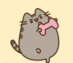 Dog&Cat WROLD!!!!!