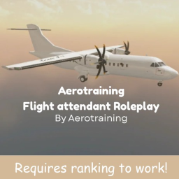 Aerotraining · Flight Attendant Roleplay