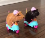 Cat emoji users