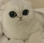 Emotеs Group Thumbnail