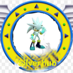 I love Sonic speed simulator