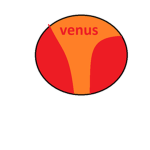 venus fans
