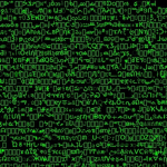 Group of the [BOTS]