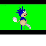 international big fans of sonic with sonic shirts