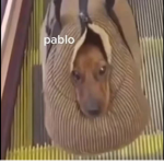 Pablo the potato