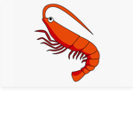 shrimpboys against lobsters