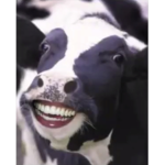 White teeth