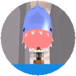 Shark Attack