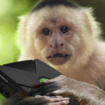 monkey xbox fanclub