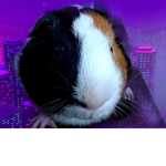 Guinea Pig Adventures Game