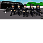 Us special force