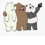 The Nation of some Bears