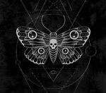 Cult of The Moths