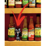 Saucy clan