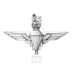 D Company, 3PARA