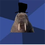 Walrus Fanclub