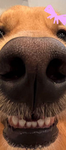 -TIME TO RANK AVATARS- :0