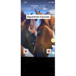 Equestrian courses