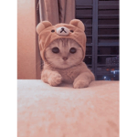 softie101