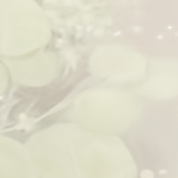 ୨୧