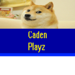 Caden's Doge team