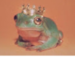 Froggy_ Clan