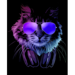 Nicusor123