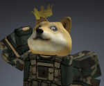 Doges Unite! Shiba Force