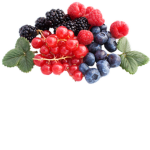 Garden Berry™