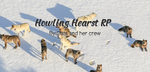 YELLOWSTONE WOLF PACK “Howling hearts RP”