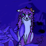 Warrior_cats181 Film crue!