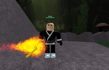 ninja dojo {alpha} 