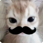 Grupo de Kittitos