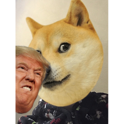 Doges vs Donald and his army