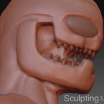 Sculptures Club
