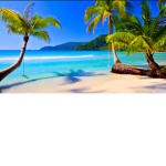 Summer time beach