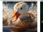 Duck squad the OG