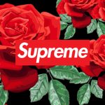 Rose Up