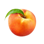 Official Campeach Fan Group