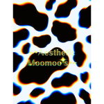 ~•Aesthetic Moo’s•~
