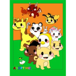 Flyer pets