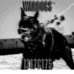 Wd's