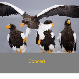 The Eagles Concert