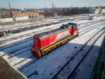 Russian Uzlovskaya