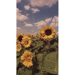 place♡