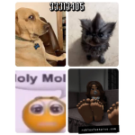 holy moly crew