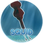 Squid
