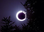 •ECLIPSES CLOTHING•