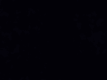 Albert Official YT group