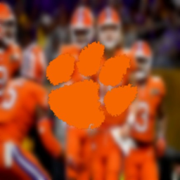 NCFAA // Clemson Tigers
